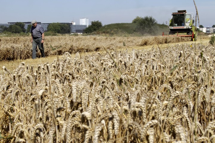 Près de 20% des agriculteurs n'ont dégagé aucun revenu en 2017